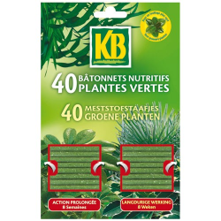 Bâtonnets nutritifs plantes vertes x40 - KB 